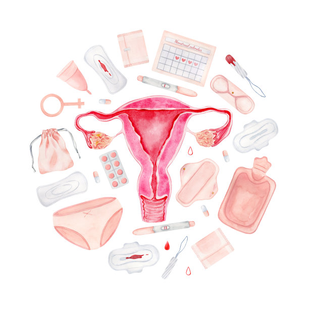 桉树绿叶无缝边框。水彩花卉插图。背景婚礼请柬，问候，壁纸，明信片图片下载