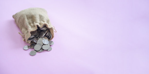 袋钱和货币硬币在柔和的粉红色背景图片下载