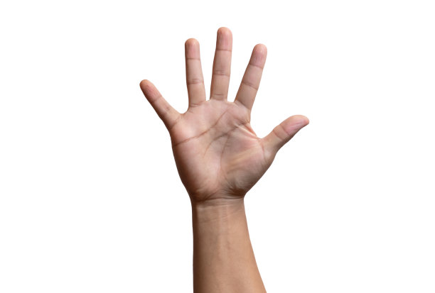 人类的双手有不同的手势和标志，指、握、指、拳、胜、掌、数、和平、三、四。图片下载