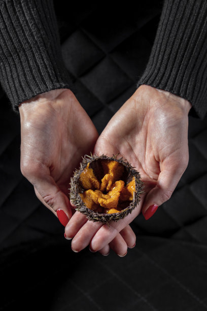 海胆，开放可见的可食用填料，在女性手中。图片下载