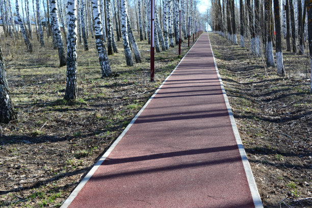 树林里一条红色的跑道，背景是桦树图片下载