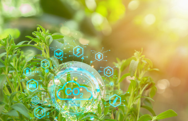 投资可再生能源、可持续和清洁技术。包括与环保能源相关的节能图标。地球日的节能减排理念。图片下载