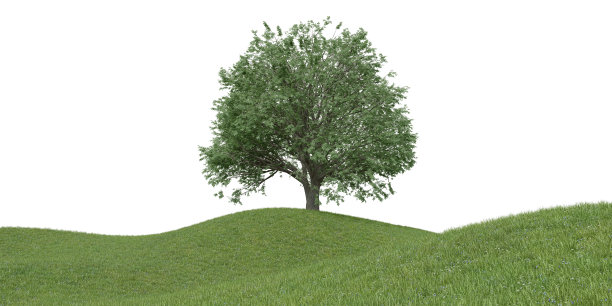 逼真的草山和树。图片下载