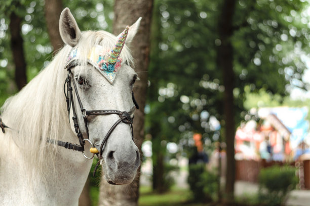 一匹白马穿着神话般的独角兽服装，特写。图片下载