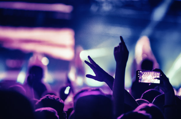 一大群人参加音乐会。图片下载