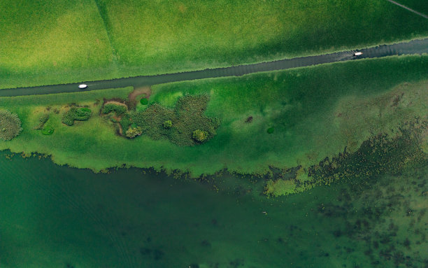 鸟瞰覆盖着植物和船道的湖水图片下载