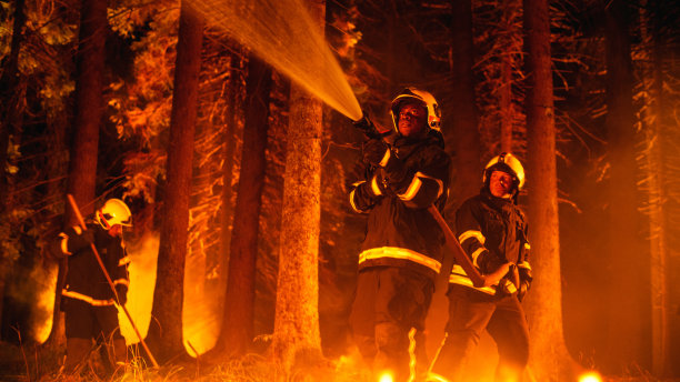 勇敢的非洲专业消防员带领团队在危险的森林火灾情况下保持冷静。经验丰富的黑人消防员熟练操作高压消防水带。图片下载