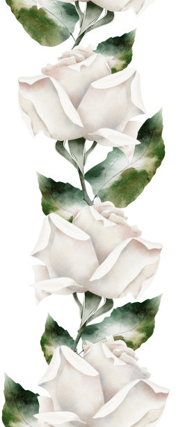 白玫瑰与半干叶无缝水彩边界图片下载