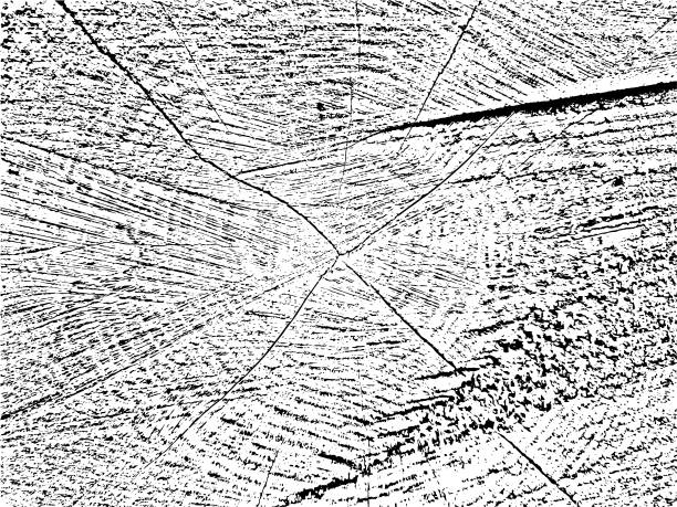 发现我们矢量垃圾木材纹理的自然美图片下载