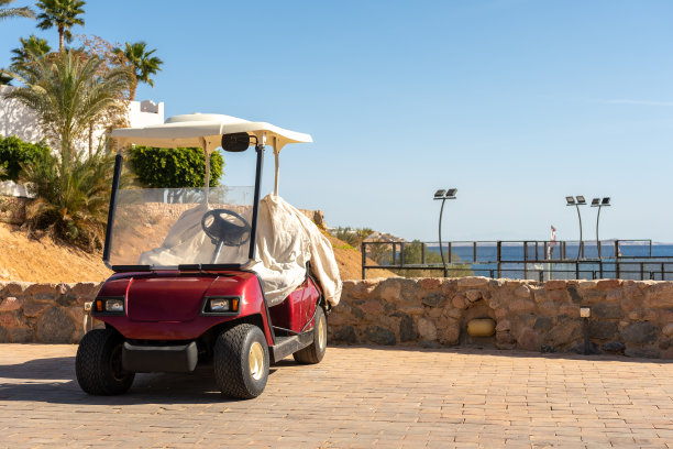 适合酒店使用的小型电动车。图片下载