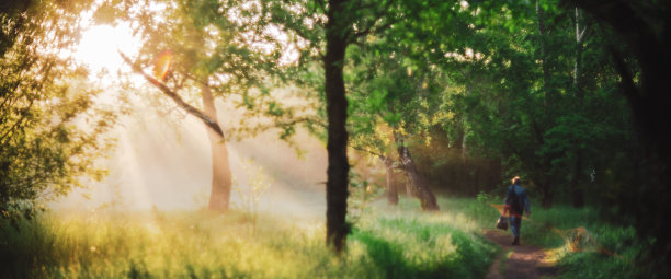 一个人在早晨的阳光下走在公园里。日出时的背影。阳光和镜头光晕与复制空间。模糊的阳光背景。夕阳下，明亮的阳光透过树叶照进来。模糊的背景图片下载