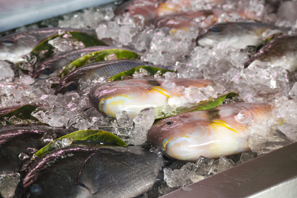 卖鲜鱼的海鲜摊图片下载