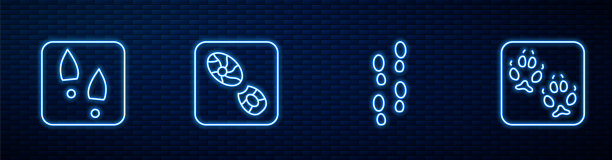 人的脚印，鞋子，狐狸的爪子。砖墙上发光的霓虹灯图标。向量图片下载