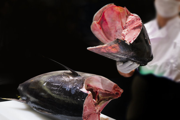 金枪鱼的拆解表演。图片下载