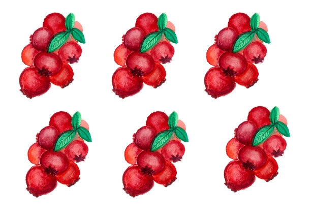 白色背景上的蔓越莓。图片下载