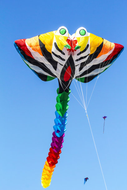 蓝色的天空，五颜六色的风筝，形状像海洋动物图片下载