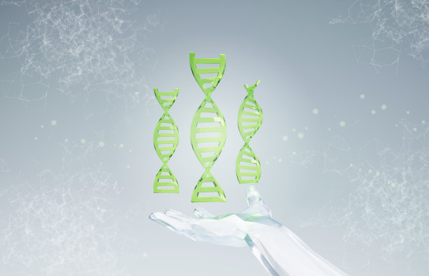 手握绿色DNA。生物学概念与绿色DNA螺旋基因或遗传全息图分子在白底。3d插图渲染。DNA全息图牵手图片下载