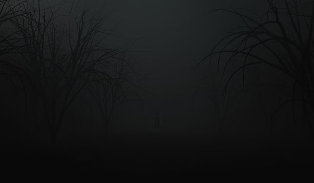 房子在恐怖的黑暗森林或夜间黑森林背景。可怕的场景背景。三维渲染图片下载