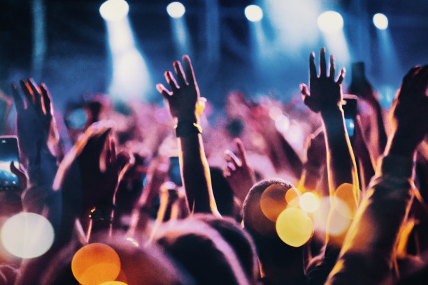 一大群人参加音乐会。图片下载