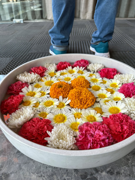 印度乌拉里碗的图片，里面装满了粉红色、橙色和白色的花朵——雏菊、万金菊和菊花漂浮在一盘水中，圆形的插花展示，腿在背景中，高架视图图片下载