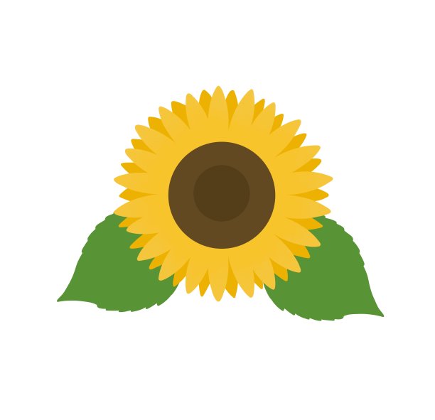 简单的向日葵图标或插图材料。明亮的颜色。图片下载