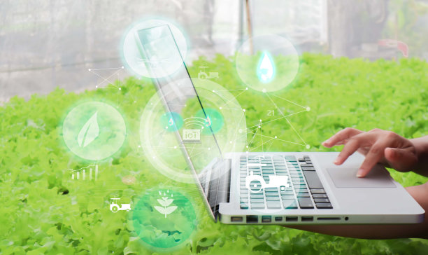 未来主义商人使用现代人工智能技术种植蔬菜和作物，使用手机，温度和湿度传感器，水跟踪，气候控制，全息数据数据图标。图片下载