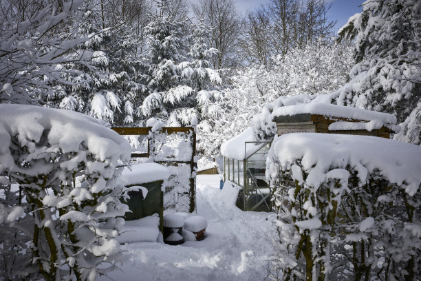 约克郡的雪图片下载