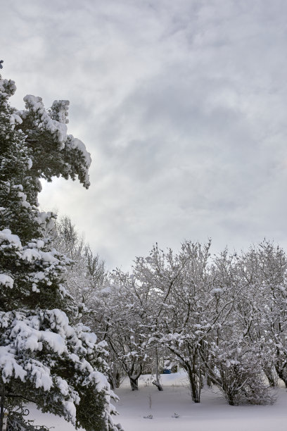 约克郡的雪图片下载