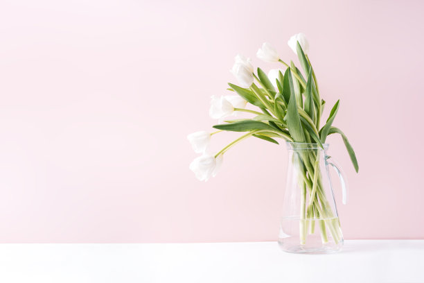 在粉红色的背景下，玻璃酒瓶里的白色郁金香花束图片下载