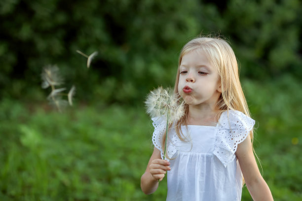 一个女孩在吹一朵巨大的蒲公英图片下载