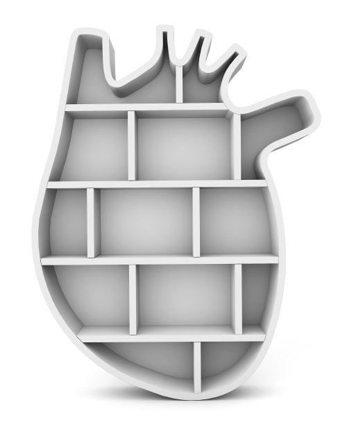 人的心架孤立在白色的背景上。器官架子上。三维渲染图片下载