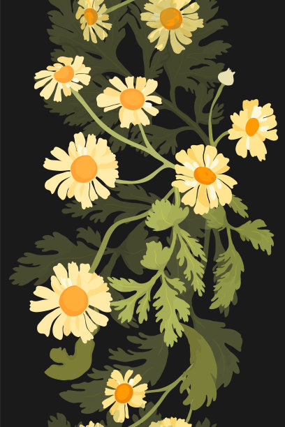 隔离无缝边界与花园鲜花图片下载