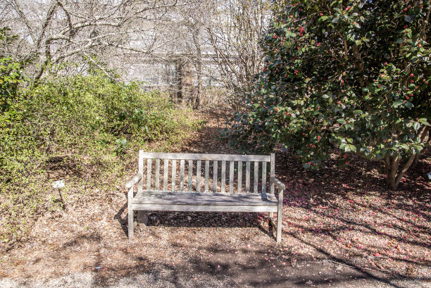 公园里的长椅图片下载