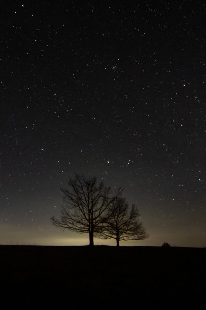 向着天空图片下载