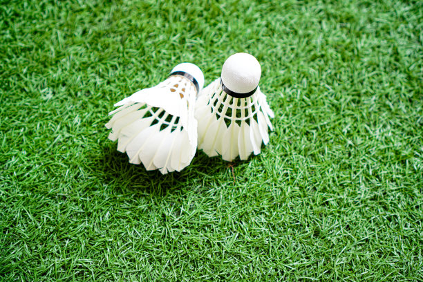 图为两个白色的毽子放在人造草坪上。图片下载