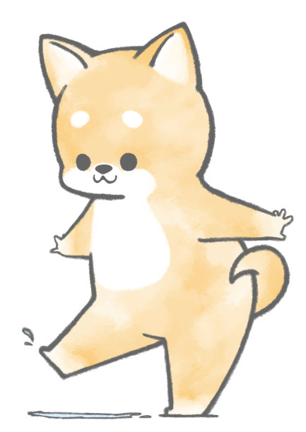 柴犬在水坑里玩耍图片下载