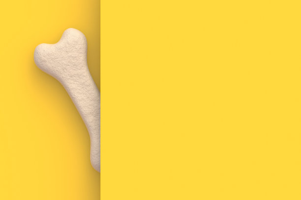 狗食骨头在墙后。副本的空间。三维渲染图片下载