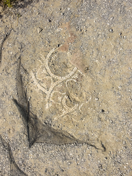 古老的马赛克地板部分，向下看图片下载