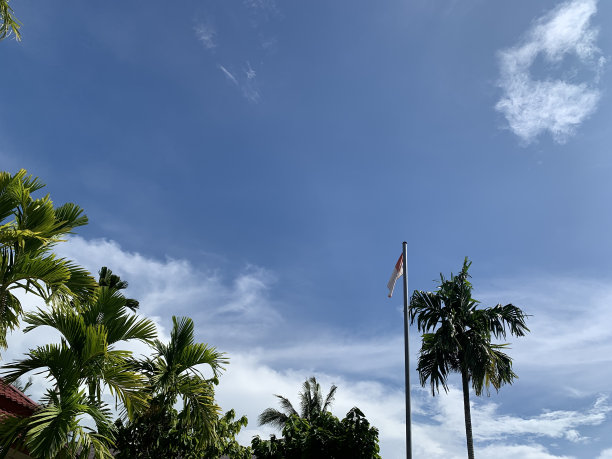 小学指示牌图片下载