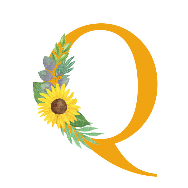 ABC，字母Q拉丁字母装饰向日葵和树叶，花卉字母组合水彩插图在简单的手绘风格，夏季花卉装饰字母图片下载