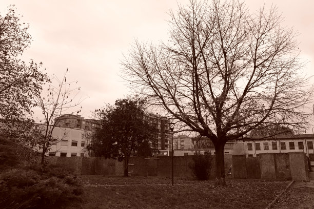 冬天:快乐或悲伤图片下载