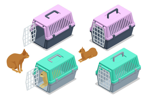 等距猫在柔软的地板上携带猫图片下载