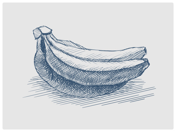 香蕉手绘的蓝色草图图片下载