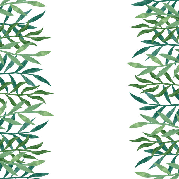 以抽象的绿叶为框架。手绘水彩插图孤立在白色背景。用于明信片、海报的设计图片下载