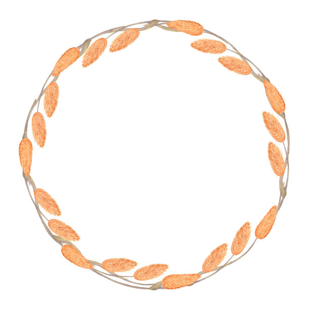 圆形框架花环由黄色干草本花。手绘水彩插图孤立在白色背景。设计图片下载