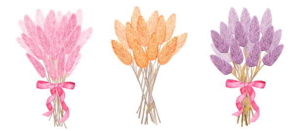 粉红色，淡紫色和黄色干花的花束。手绘水彩插图孤立在白色背景。设计图片下载