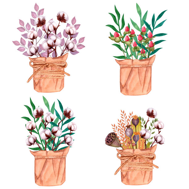 用绿色的棉枝和丁香叶、金丝桃、罂粟、荷花制作篮子。手绘水彩插图孤立在白色背景图片下载