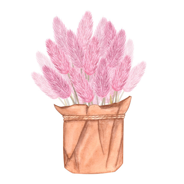 在一个工艺篮子里的粉色干草本花茎。手绘水彩插图孤立在白色背景。用于明信片，海报，贴纸图片下载