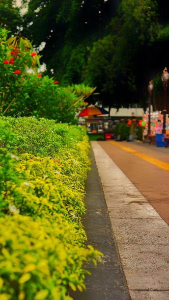 户外公园图片下载