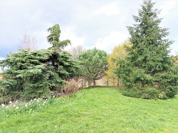 森林和公园图片下载